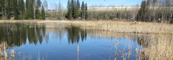Constructed wetland at Luikonlahti Mine © Soile Backnäs